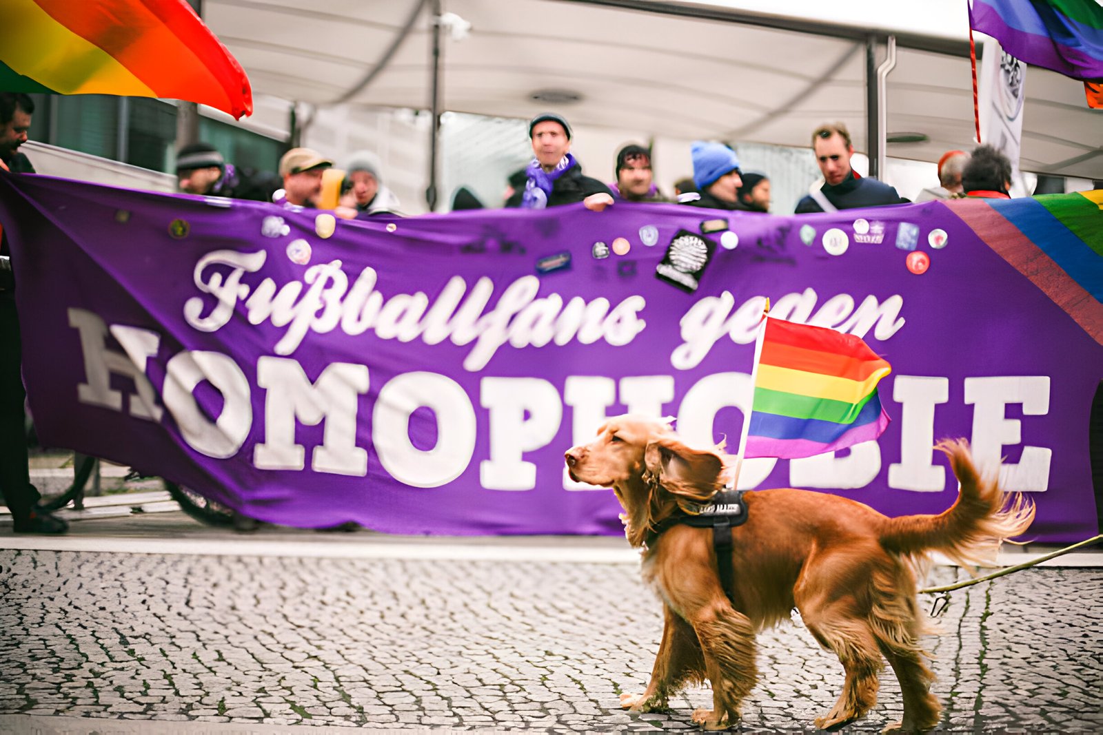 homophobic dog