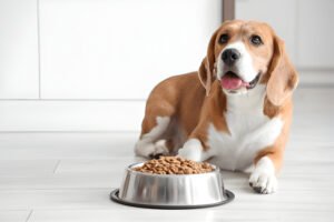 badlands ranch dog food recall