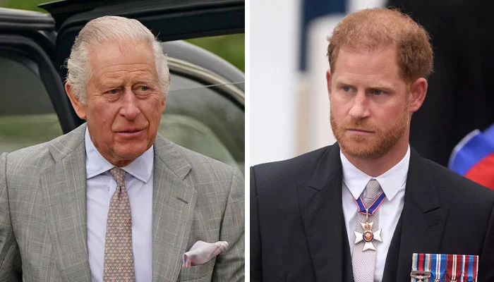 king charles is reportedly furious with prince harry.